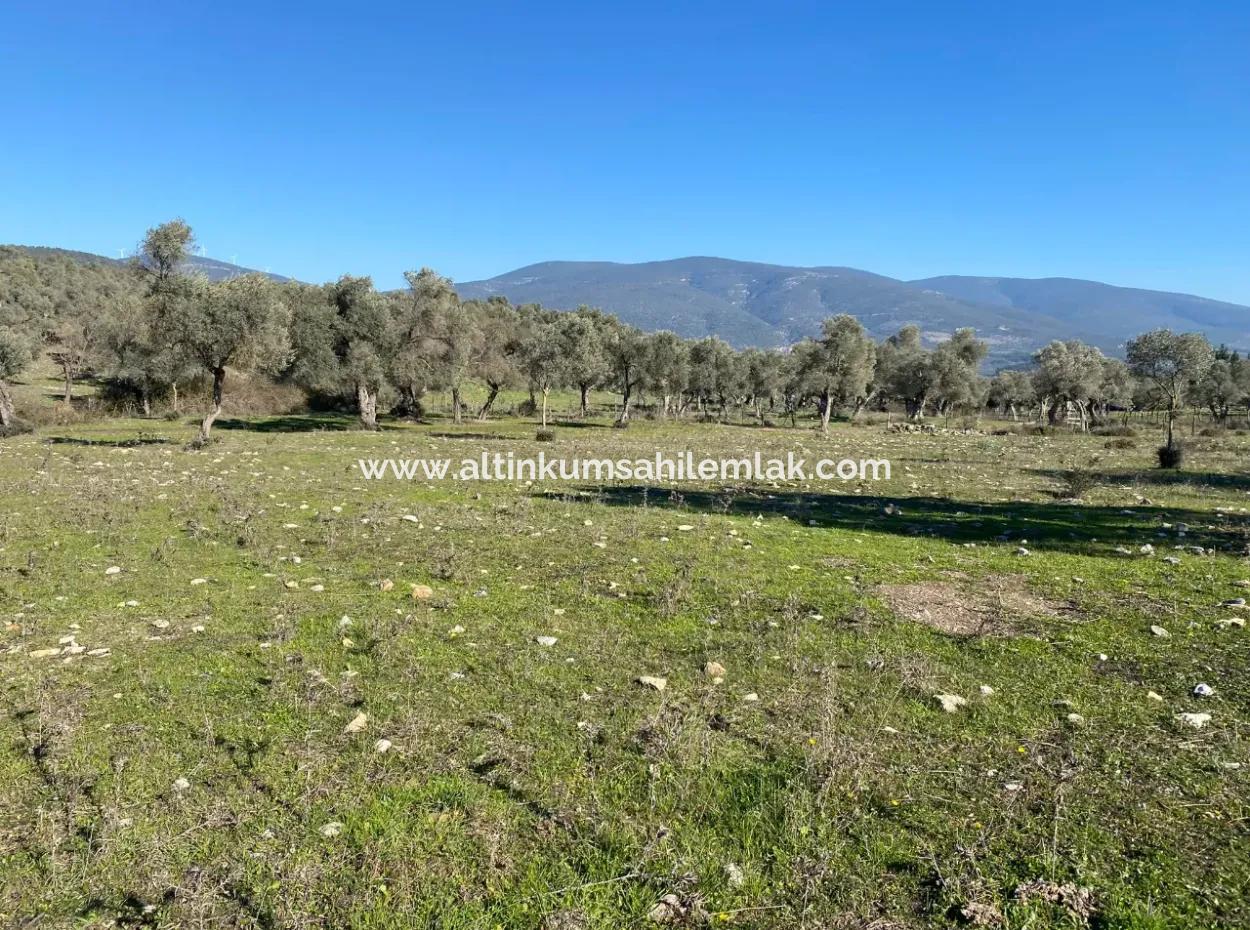 Mugla, Milas Kazikli Land With Sea View For Sale