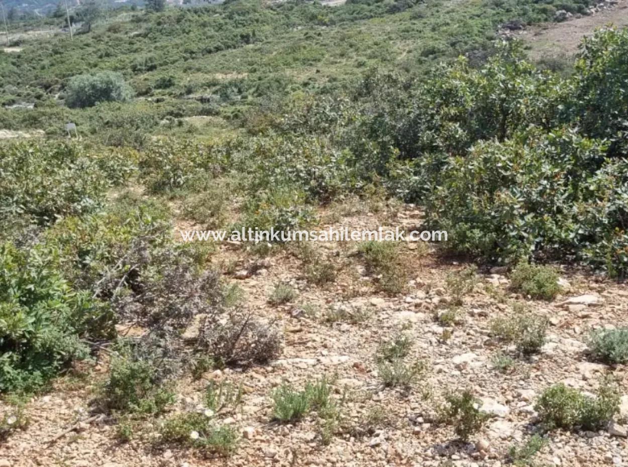 Villa Plot For Sae By Bafa Lake Didim