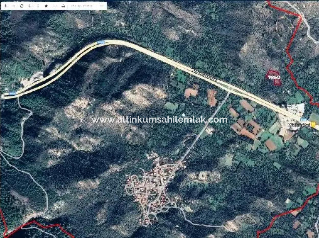 6 Decares Olive Grove Land For Sale, Investment Land In Muğla Milas