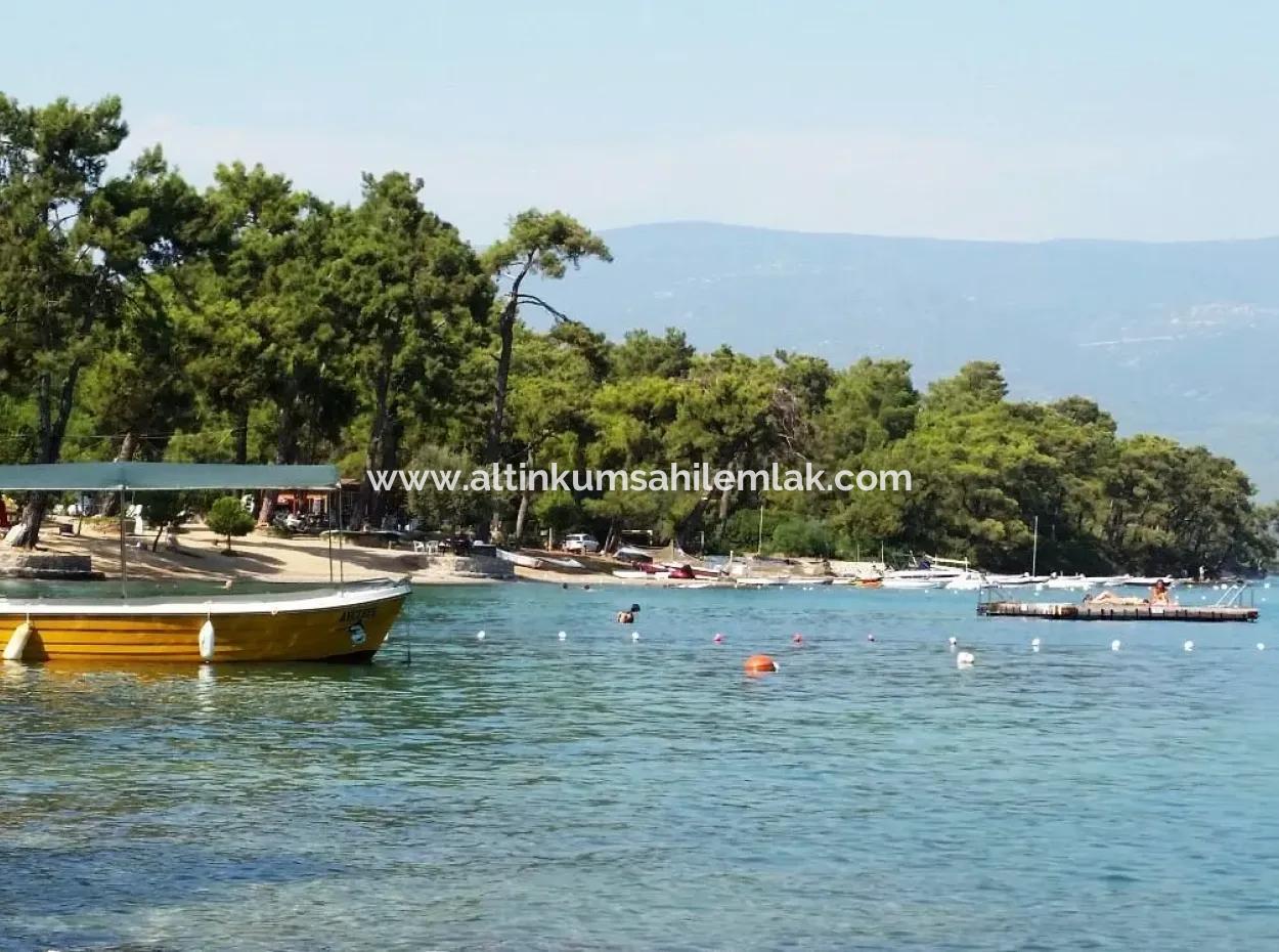 Field For Sale In Muğla Milas Kazıklı