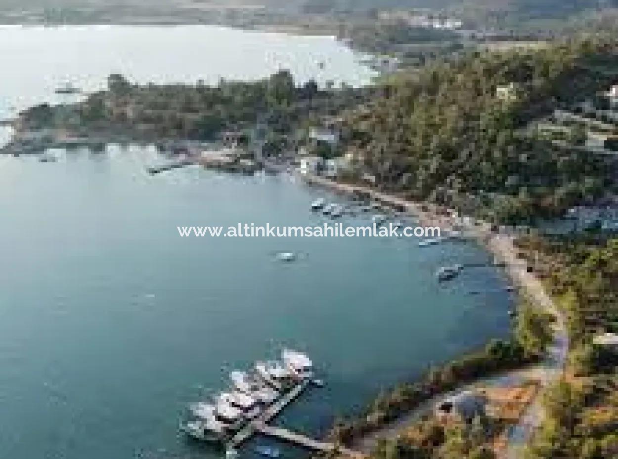 Field For Sale In Muğla Milas Kazıklı