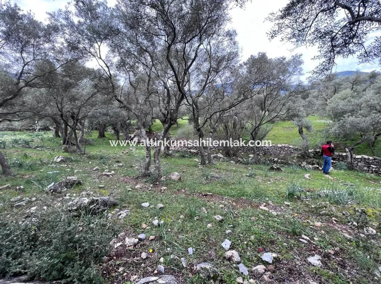 2100 M2 Land For Sale 400 M To Bafa Main Road