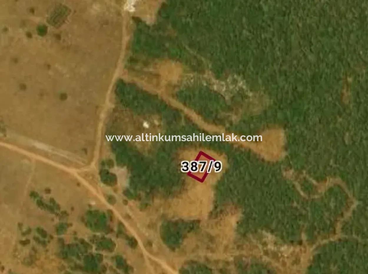 Land For Sale In Ak-Yeniköy Didim