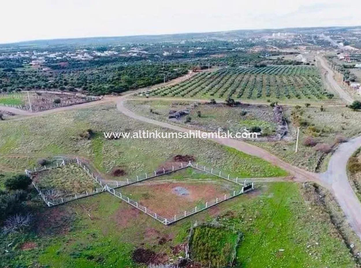 Land For Sale In Ak-Yeniköy Didim