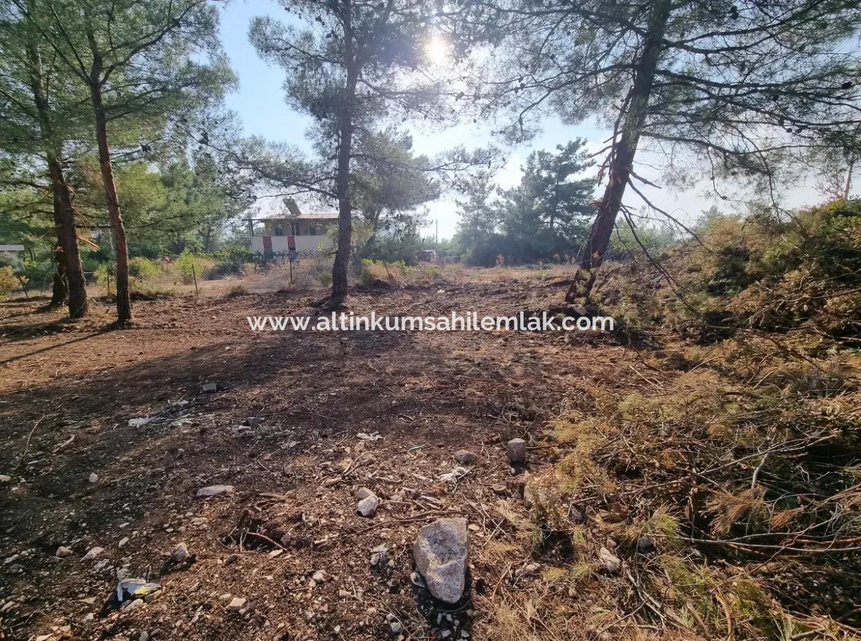 Land For Sale In Didim Altınkum Turkey