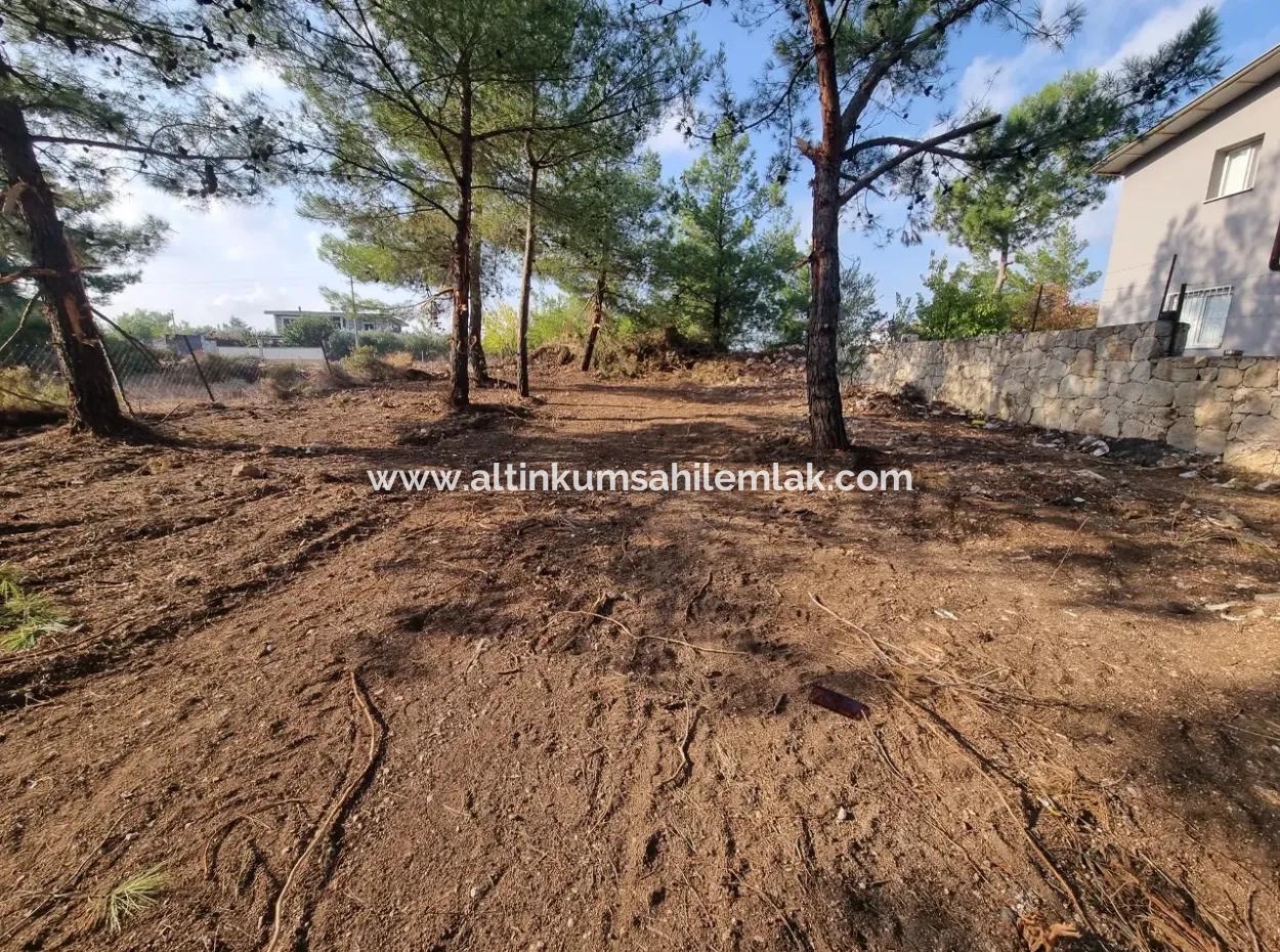 Land For Sale In Didim Altınkum Turkey