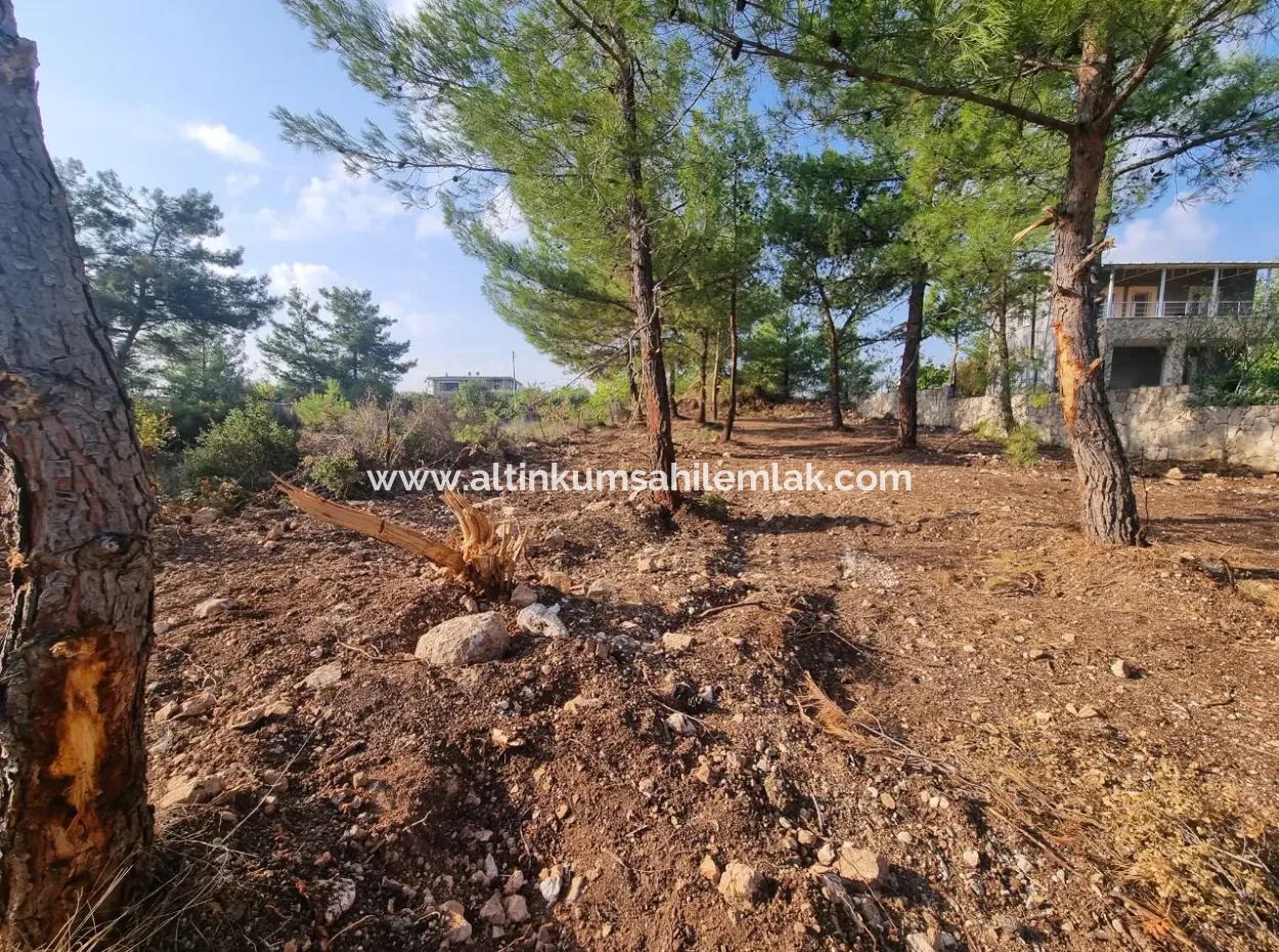 Land For Sale In Didim Altınkum Turkey