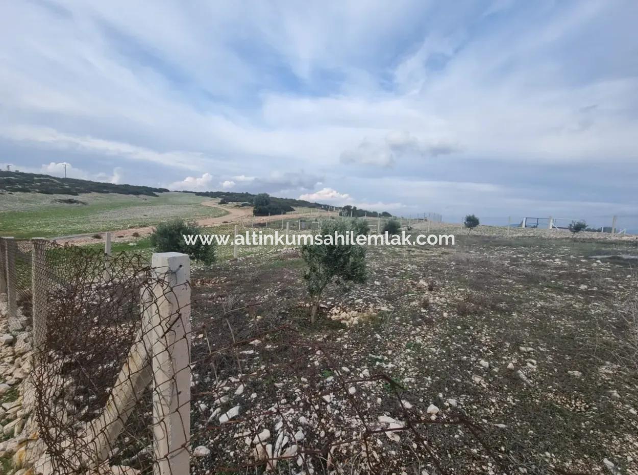 Land For Sale At Bafa Lake In Altınkum Didim