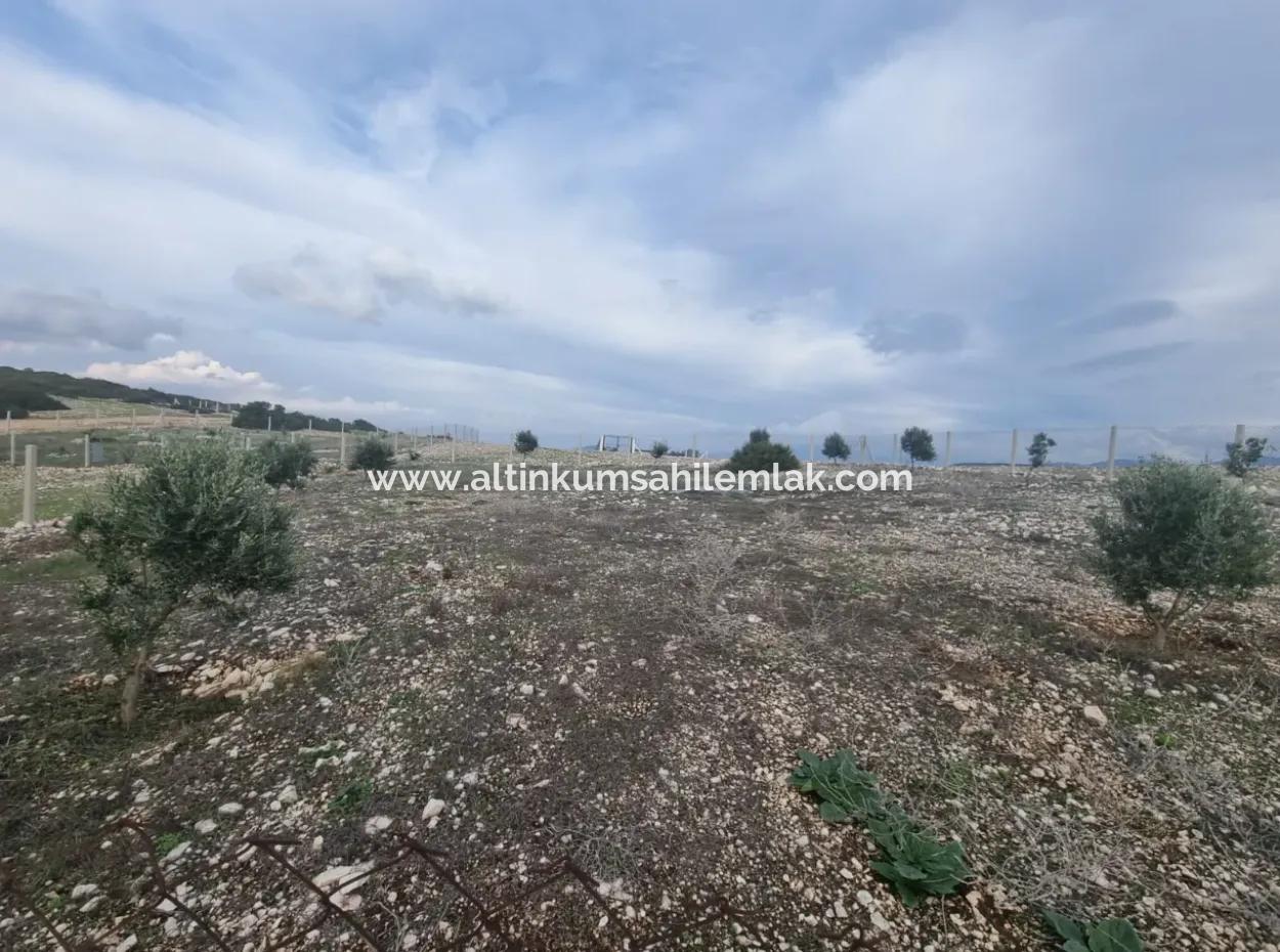 Land For Sale At Bafa Lake In Altınkum Didim