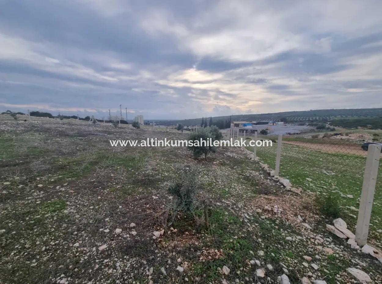 Land For Sale At Bafa Lake In Altınkum Didim