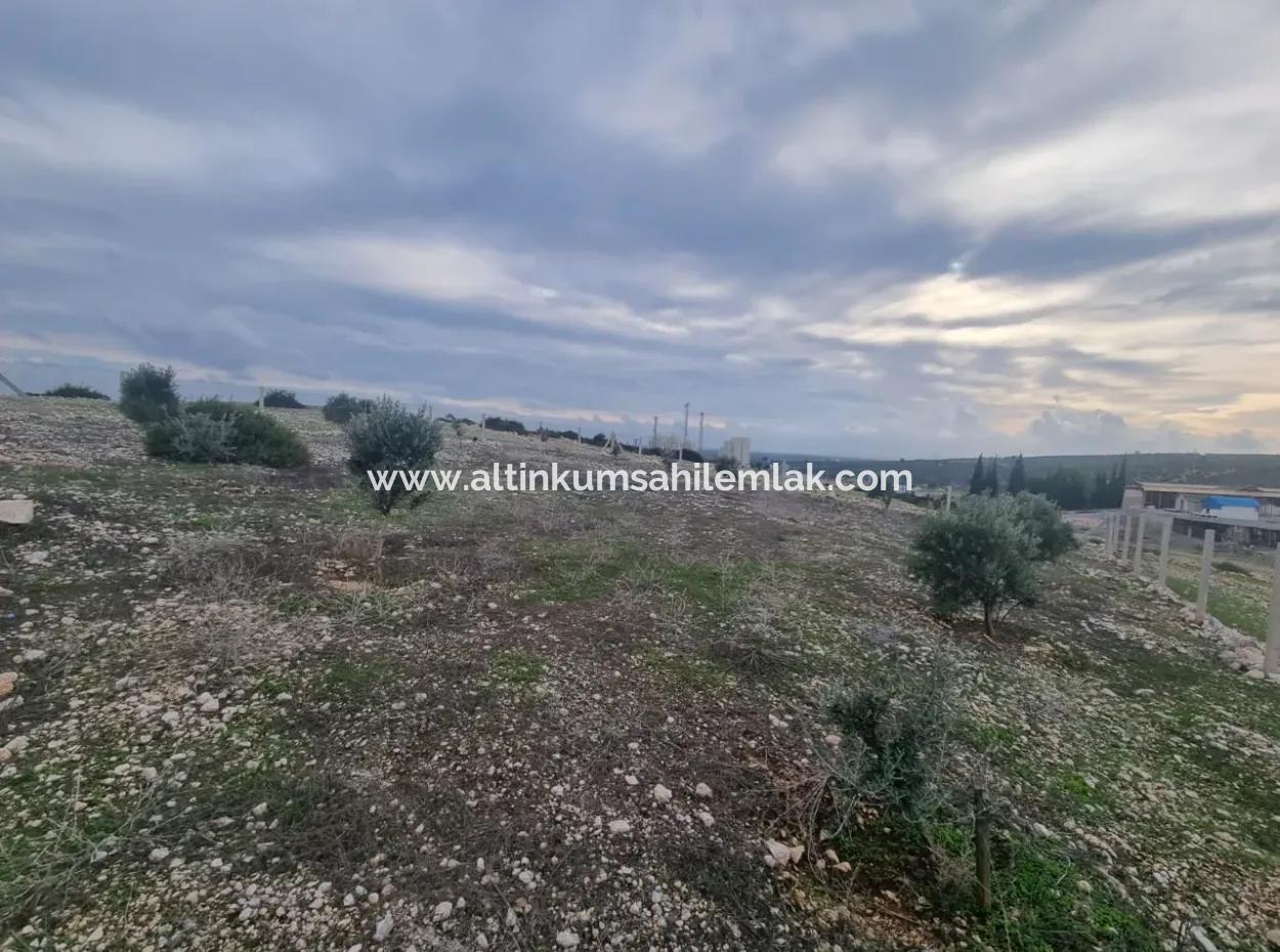 Land For Sale At Bafa Lake In Altınkum Didim