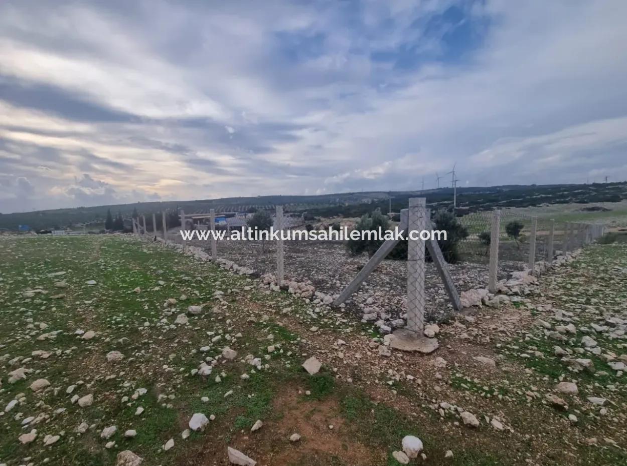 Land For Sale At Bafa Lake In Altınkum Didim