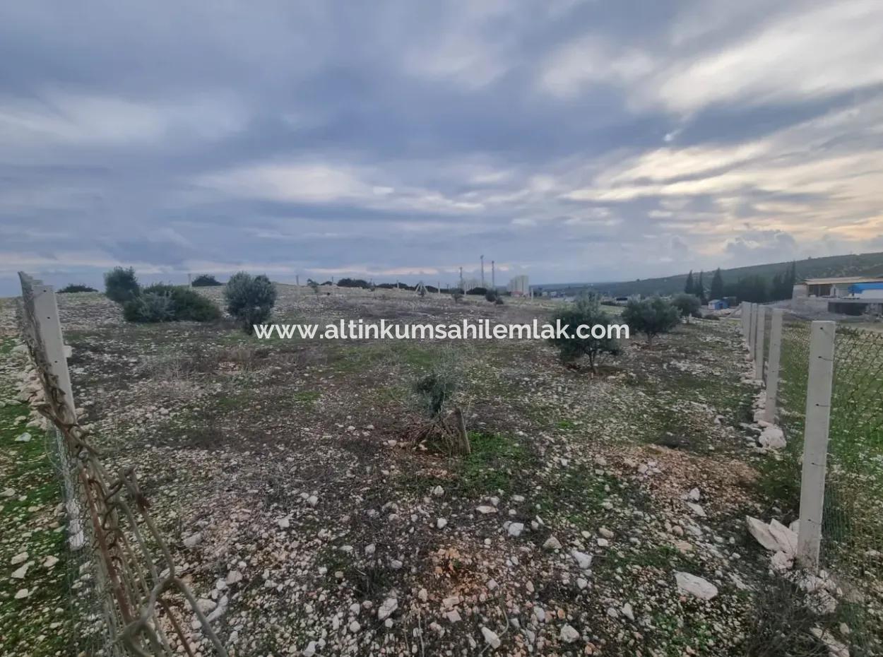 Land For Sale At Bafa Lake In Altınkum Didim