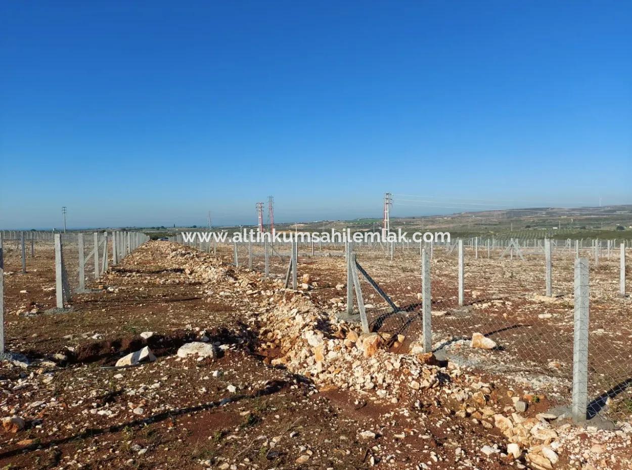 For Sale Hobby Garden In Didim, Hobby Garden For Sale In Didim