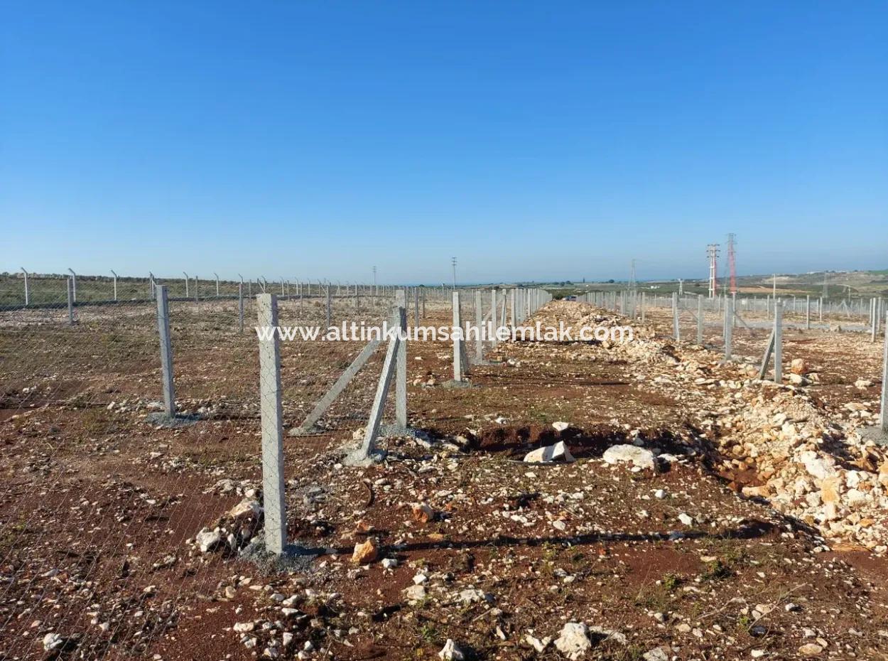 For Sale Hobby Garden In Didim, Hobby Garden For Sale In Didim