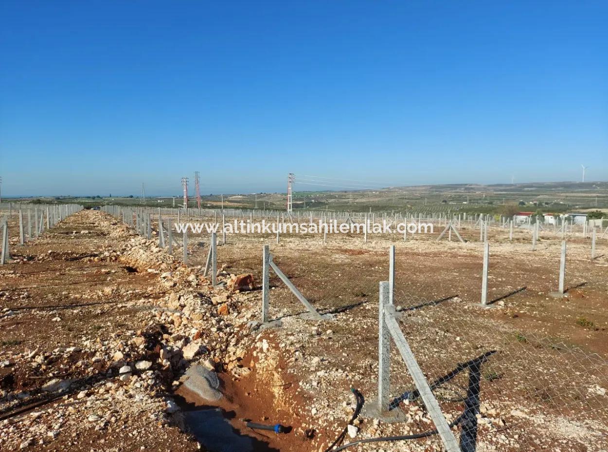 For Sale Hobby Garden In Didim, Hobby Garden For Sale In Didim