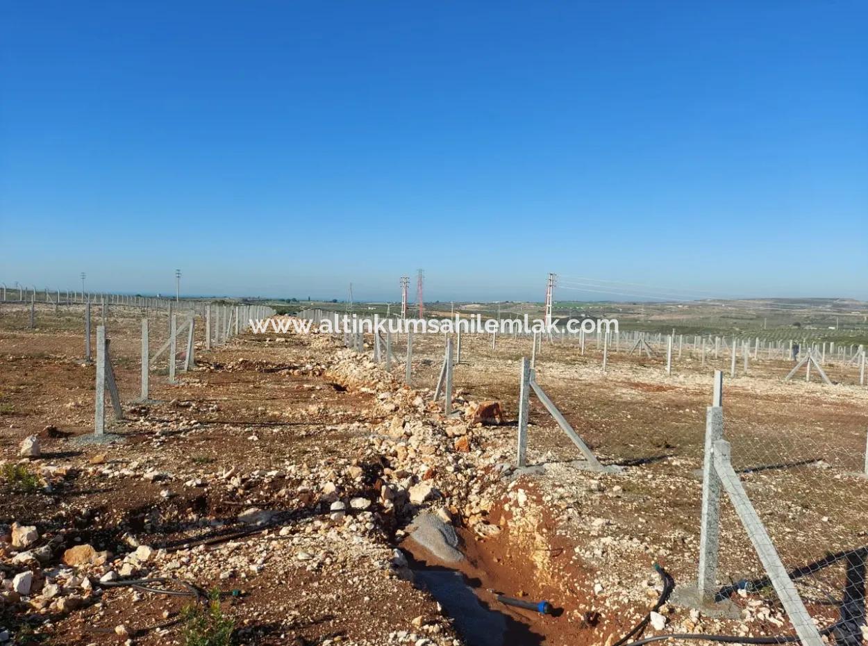 For Sale Hobby Garden In Didim, Hobby Garden For Sale In Didim