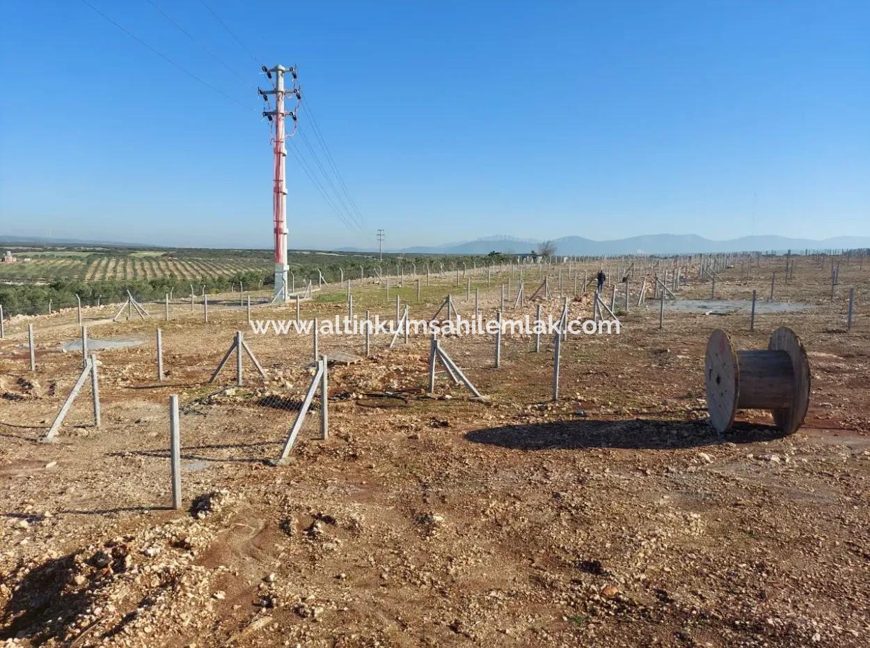 For Sale Hobby Garden In Didim, Hobby Garden For Sale In Didim