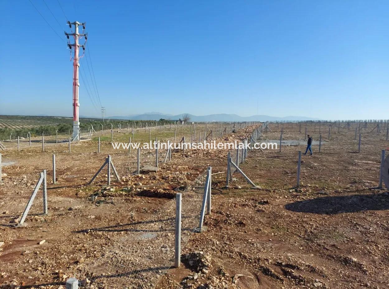 For Sale Hobby Garden In Didim, Hobby Garden For Sale In Didim