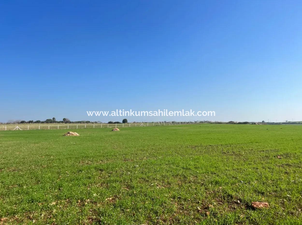 435 M2 Hobby Gardens With Sea View For Sale In Didim From Altinkum Beach Real Estate