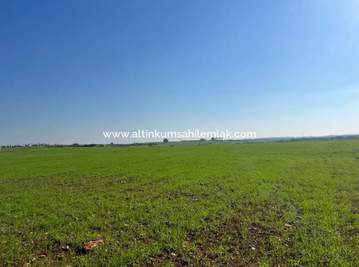 435 M2 Hobby Gardens With Sea View For Sale In Didim From Altinkum Beach Real Estate