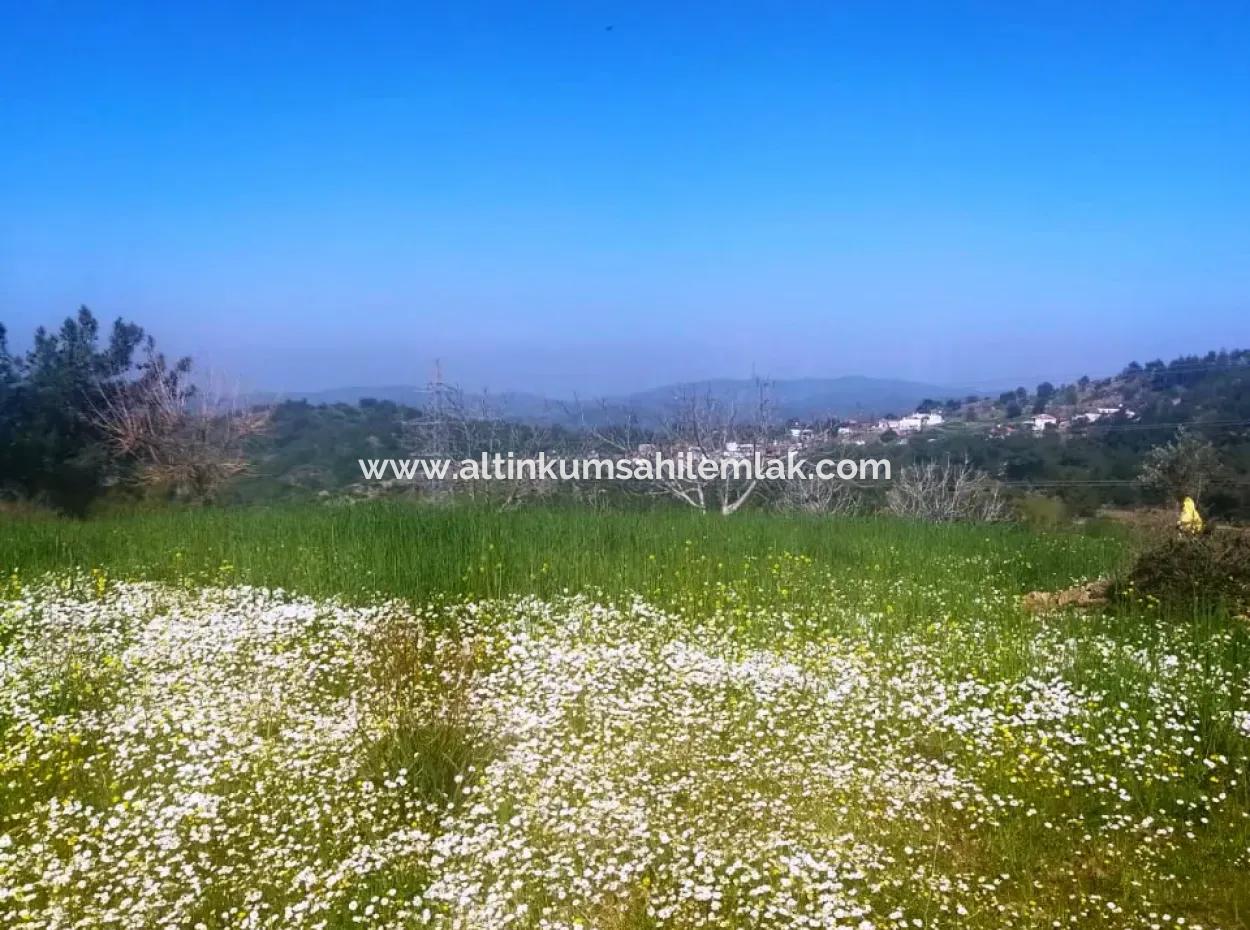 For Sale Land In Muğla Milas Çiftlik Area