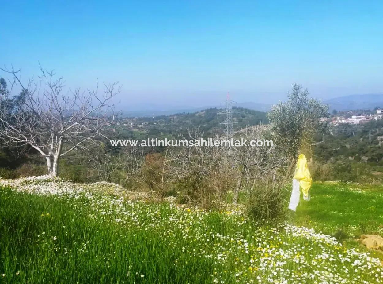 For Sale Land In Muğla Milas Çiftlik Area