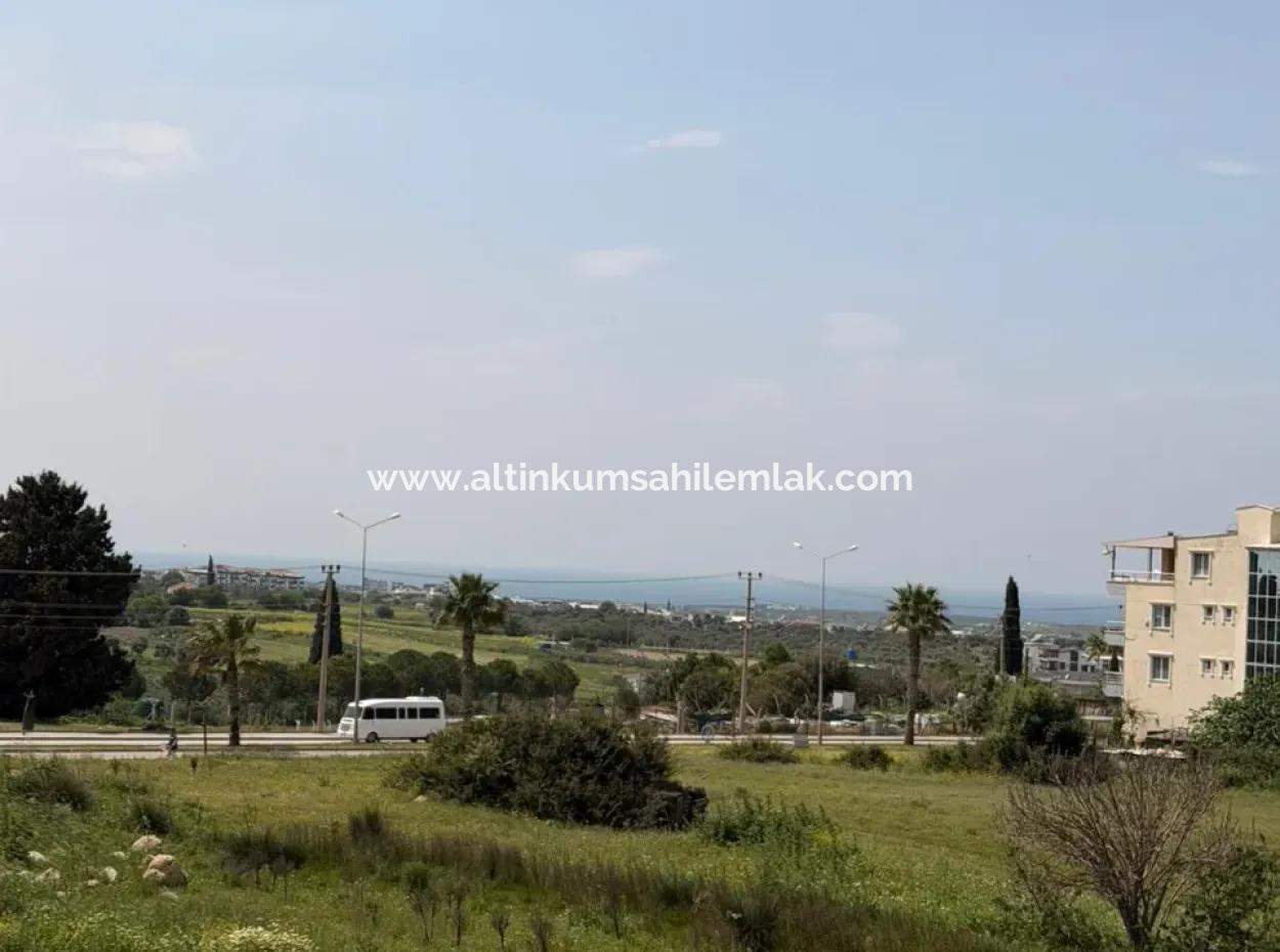 Bargain! Luxury 3 1 Villa For Sale In Hisar – Opportunity Price!