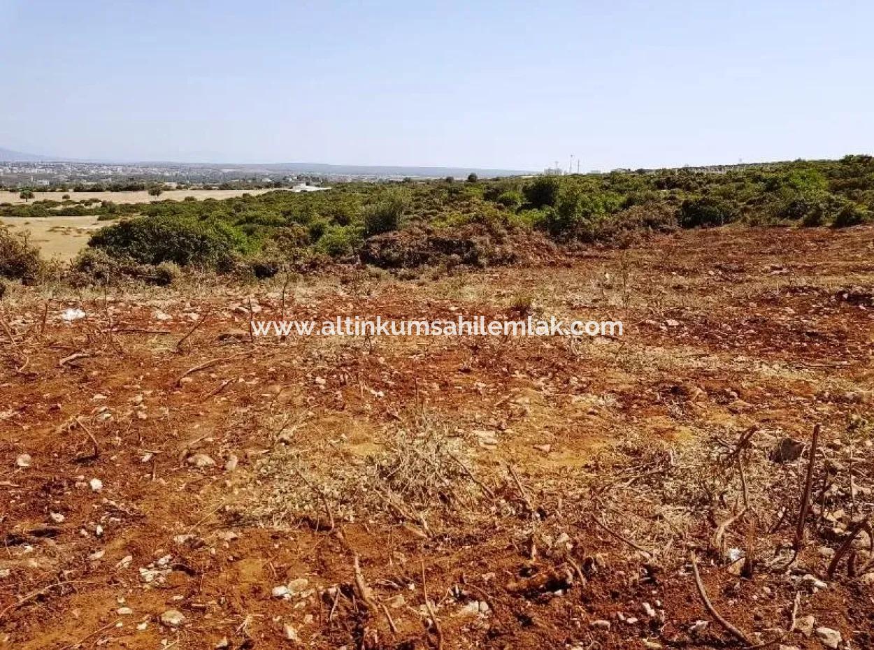 Land For Sale In Bafa Lake Area Didim