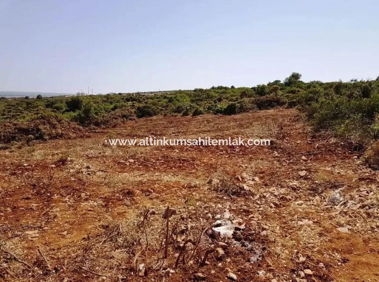 Land For Sale In Bafa Lake Area Didim