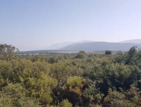 Land For Sale In Didim