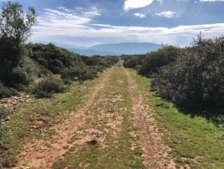 Land For Sale In Didim