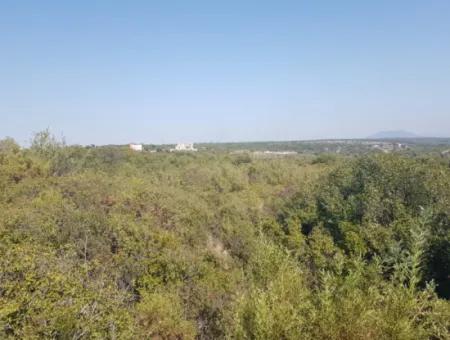 Land For Sale In Didim