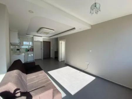 For Sale One Bedroom Apartment Behind Alo 24 Didim