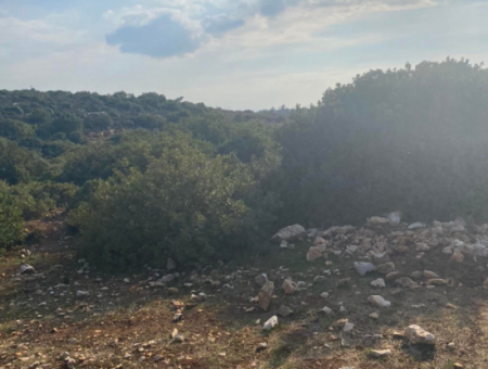 Didim Bozsekide 300M2 Land With Zoning For Sale