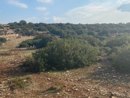 Didim Bozsekide 300M2 Land With Zoning For Sale