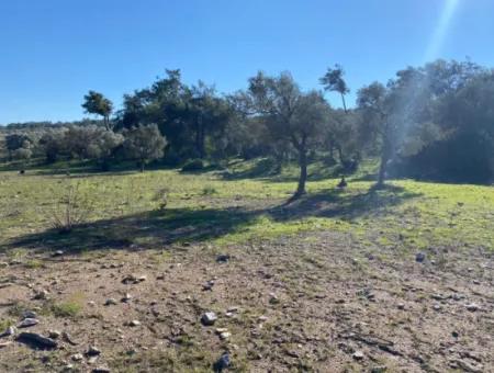 Mugla, Milas Kazikli Land With Sea View For Sale