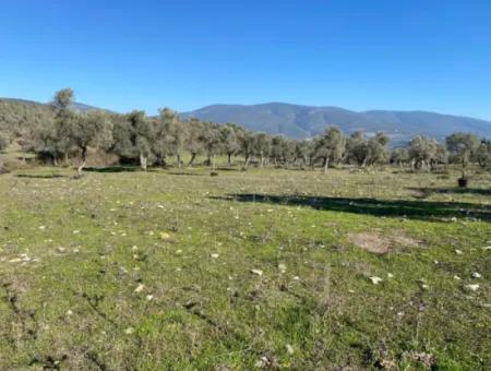 Mugla, Milas Kazikli Land With Sea View For Sale