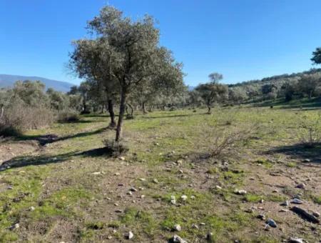 Mugla, Milas Kazikli Land With Sea View For Sale