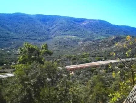 6 Decares Olive Grove Land For Sale, Investment Land In Muğla Milas