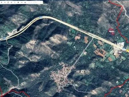 6 Decares Olive Grove Land For Sale, Investment Land In Muğla Milas