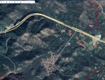 For Sale 6 Acres Olive Grove In Muğla Milas