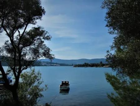 Field For Sale In Muğla Milas Kazıklı