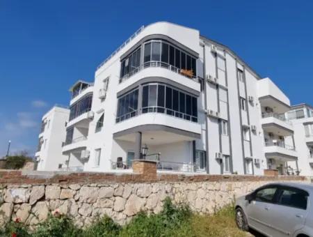 Urgent 3 Bedroom Apartment With Lovely Sea View In Didim