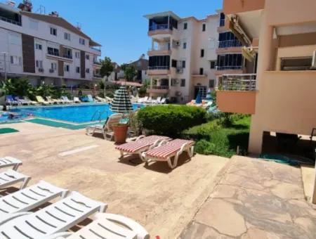 Fully Furnished 3 Bedroom Apartment In Agean Palm Complex