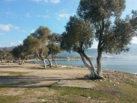 Villa Plot For Sale In Altınkum Didim