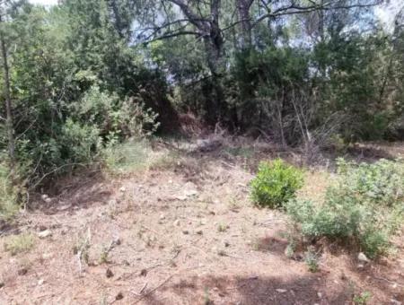 291 M2 Villa Zoned Land For Sale In Didim Fevzipaşa Neighborhood