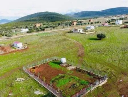 Land For Sale In Ak-Yeniköy Didim