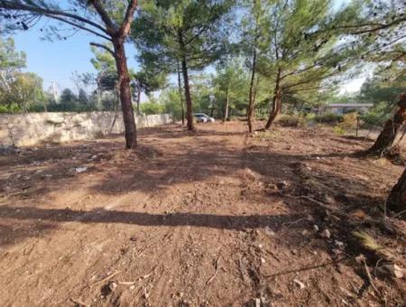 Land For Sale In Didim Altınkum Turkey