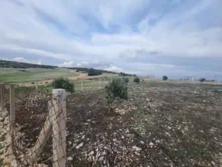 Land For Sale At Bafa Lake In Altınkum Didim